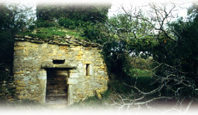 Cabornes à Saint Romain, près de la grotte de Luée, dans un site de pierres et de taillis
